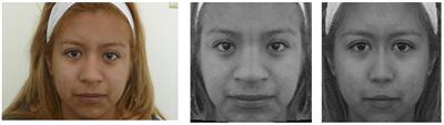 The Role of Regional Contrast Changes and Asymmetry in Facial Attractiveness Related to Cosmetic Use